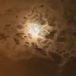 Meet your Posher, Angel